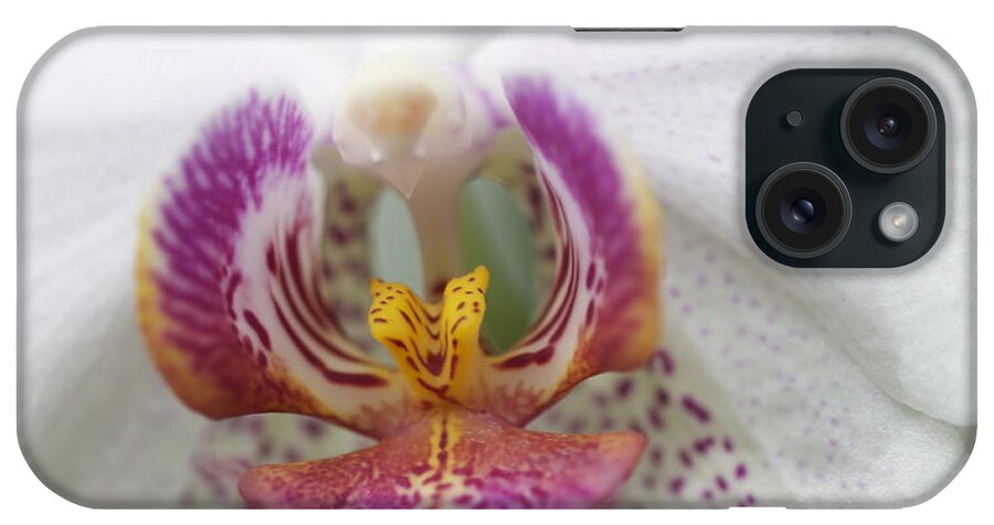 Orchid iPhone Case featuring the photograph Pink and White Orchid by Sue Morris