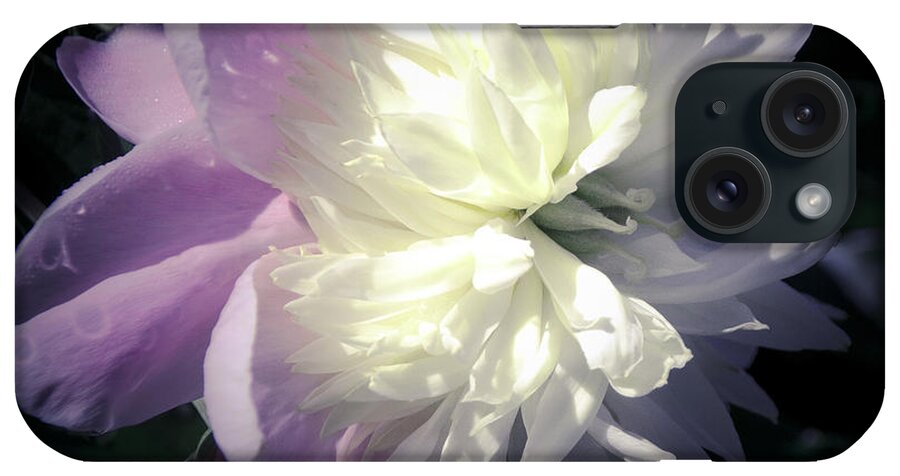 Peony iPhone Case featuring the photograph Pink and White Peony Petals by Julie Palencia