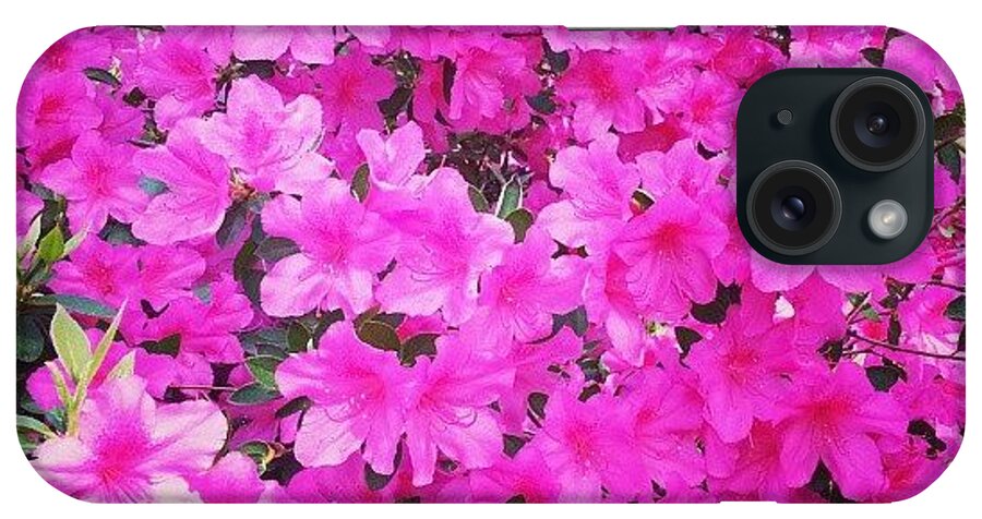  iPhone Case featuring the photograph Pink Azaleas by Beth Macre