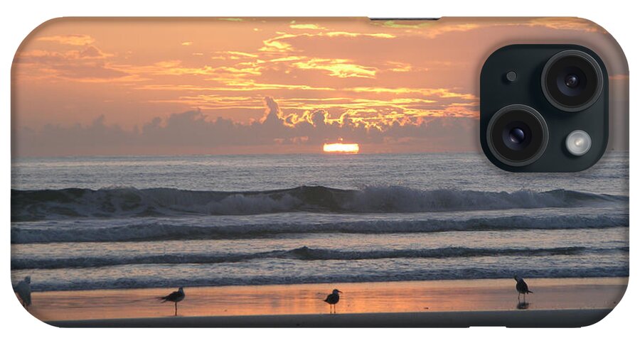 Beautiful Beach Sunrise Photographs iPhone Case featuring the photograph Pink beach sunrise with seabirds by Julianne Felton