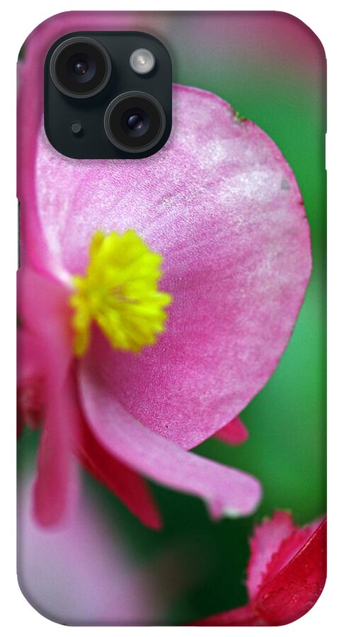 Flowers iPhone Case featuring the photograph Pink Begonia by Jennifer Robin
