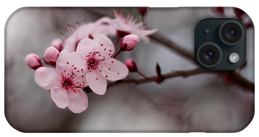 Pink iPhone Case featuring the photograph Pink Blossoms by Michelle Wrighton