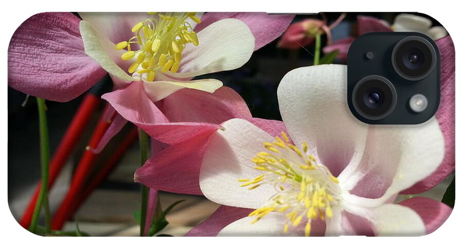 Pink iPhone Case featuring the photograph Pink Columbine by Caryl J Bohn