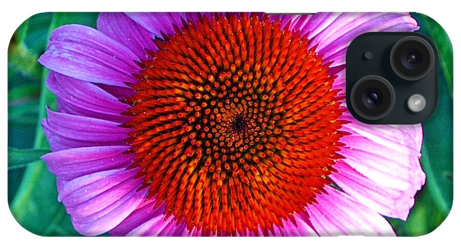 Pink_daisy_petals_center_nature_natural_flower_jan Marvin iPhone Case featuring the photograph Pink Daisy by Jan Marvin by Jan Marvin