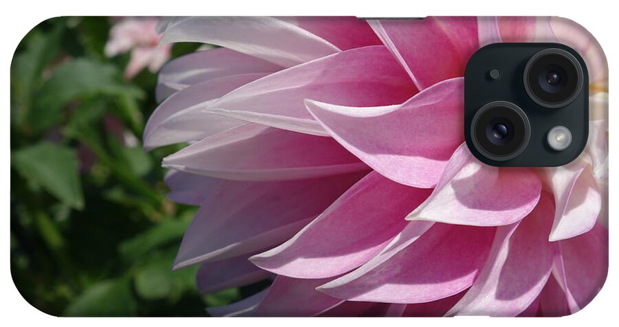 Pink Delight iPhone Case featuring the photograph Pink Delight by Jacqueline Athmann