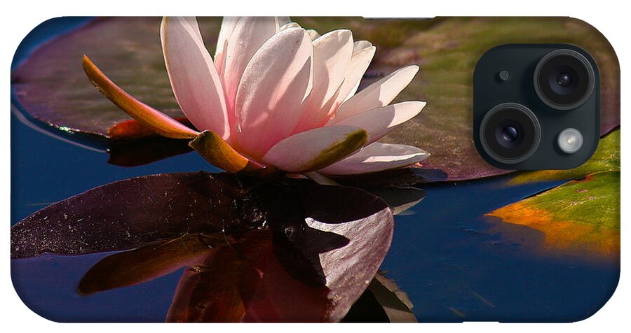 Flower.flowers iPhone Case featuring the photograph Pink Lily by Jean Noren