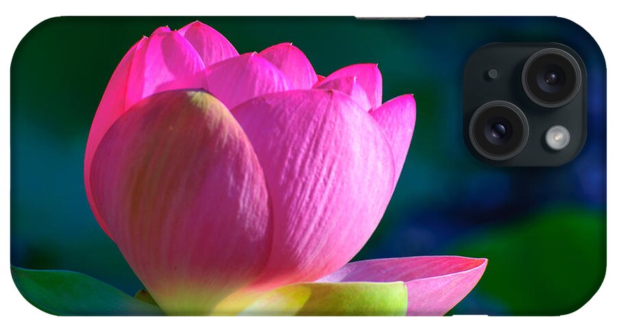 Water Lily iPhone Case featuring the photograph Pink lily by John Johnson