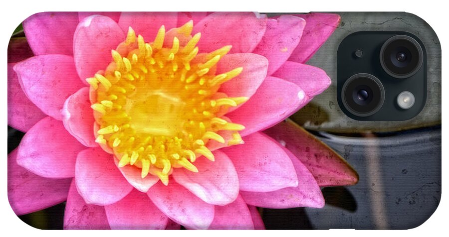 Lotus iPhone Case featuring the painting Pink Lotus Flower - Zen Art by Sharon Cummings by Sharon Cummings