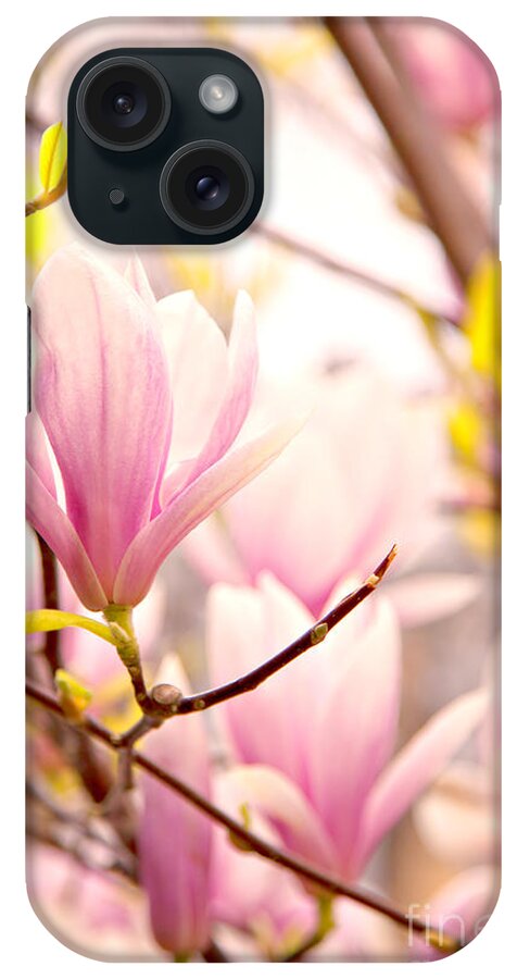Magnolia iPhone Case featuring the photograph Pink magnolia blossoms by Sophie McAulay