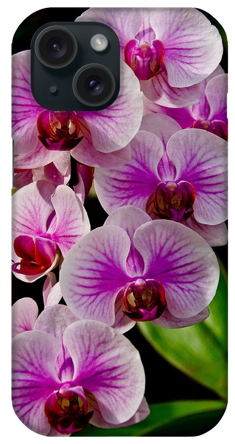 Orchid iPhone Case featuring the photograph Pink Orchid by Jennifer Kano