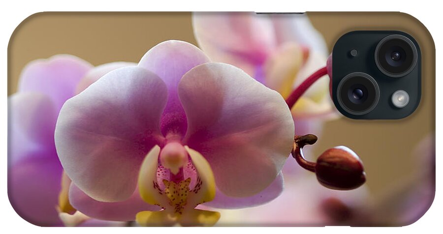 Flower iPhone Case featuring the photograph Pink Orchid by Teresa Zieba