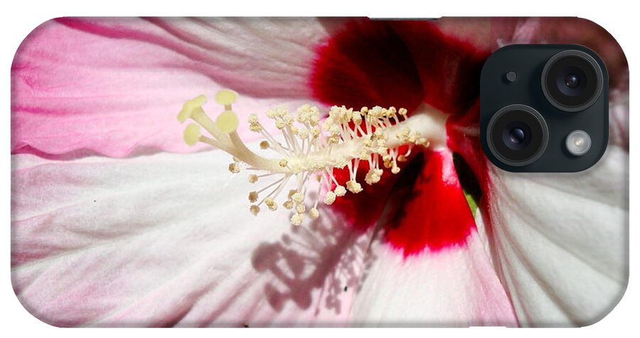 Bloom iPhone Case featuring the photograph Pink Pie Plate Hibiscus by Sharon Woerner