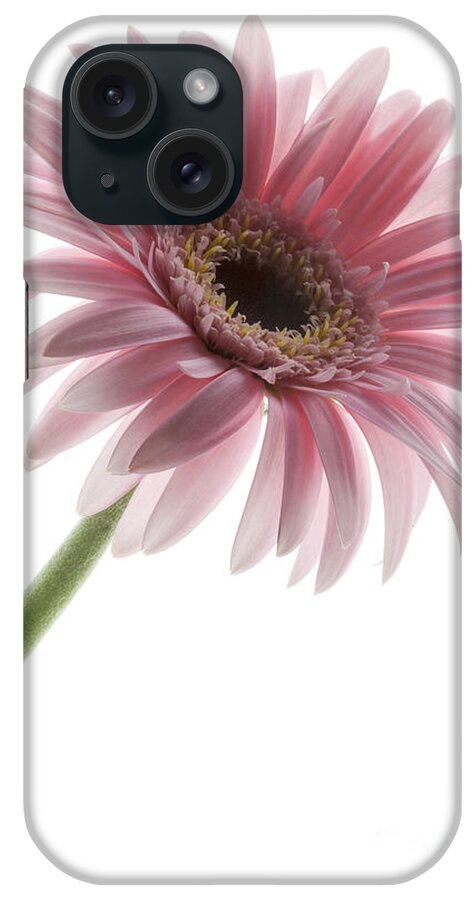 Pink Posey iPhone Case featuring the photograph Pink Posey by Patty Colabuono