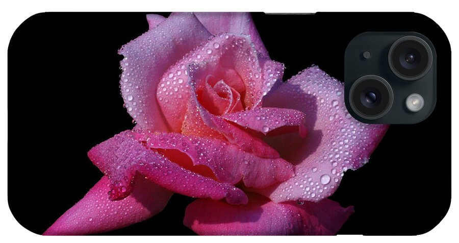 Rose iPhone Case featuring the photograph Fuchsia by Doug Norkum