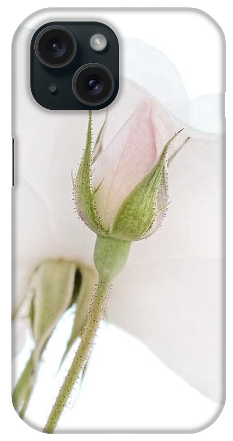 Rose iPhone Case featuring the photograph Pink Rose Bud turns to White Rose Flower by Jennie Marie Schell