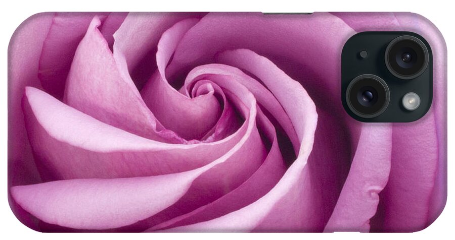 Pink Rose Closeup iPhone Case featuring the photograph Pink Rose Folded To Perfection by Sandra Foster