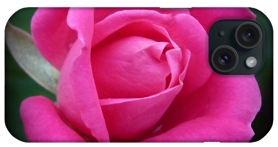 Pink iPhone Case featuring the photograph PInk Rose by Terry Eve Tanner