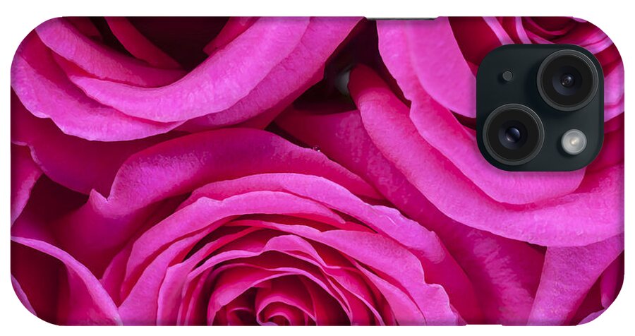 Pink Roses iPhone Case featuring the photograph Pink Roses 2 by Rich Franco