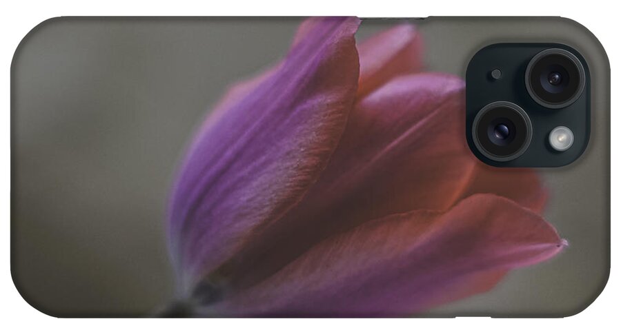 Pink Tulip iPhone Case featuring the photograph Pink Tulip by Ron Roberts