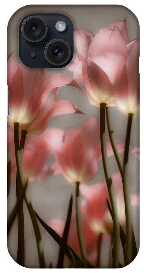 Tulips iPhone Case featuring the photograph Pink Tulips Glow by Michelle Joseph-Long