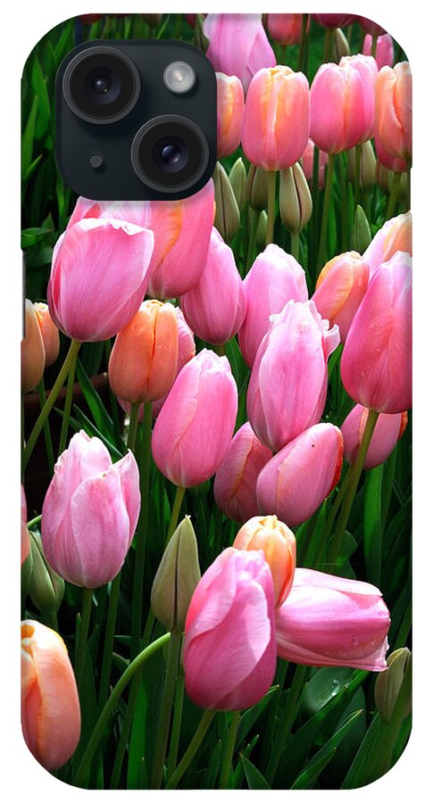 Tulips iPhone Case featuring the photograph Pink Tulips by Haleh Mahbod