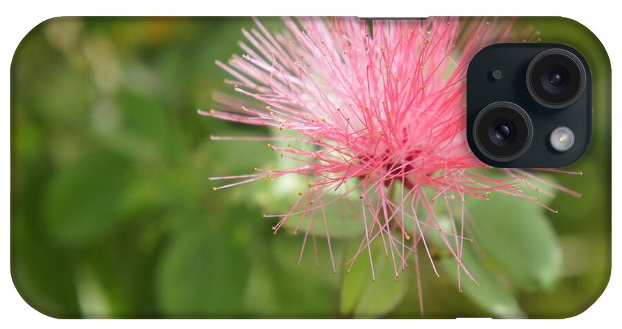 Pink Bottle Brush iPhone Case featuring the photograph Pink Wisps by Laurie Perry