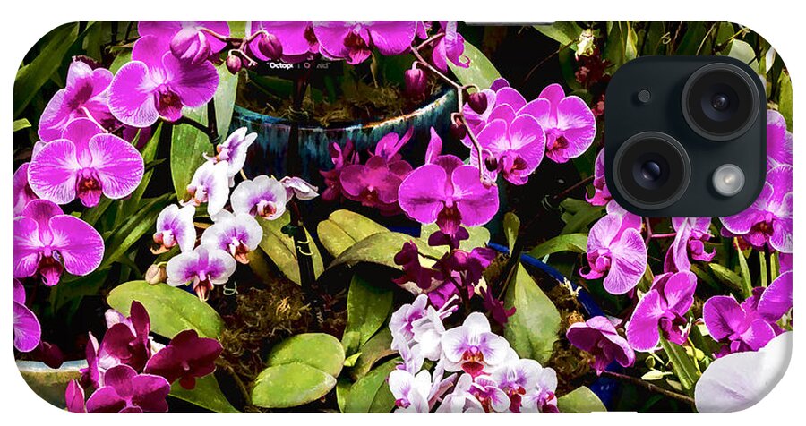 Pink iPhone Case featuring the digital art Pinkish Purple Orchids by Photographic Art by Russel Ray Photos