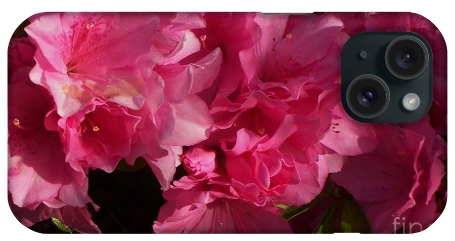 Azelia iPhone Case featuring the photograph Pinky by David Neace CPX