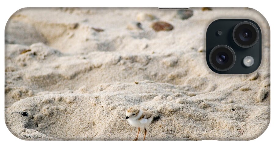 Animal iPhone Case featuring the photograph Piping Plover Chick by Eunice Harris