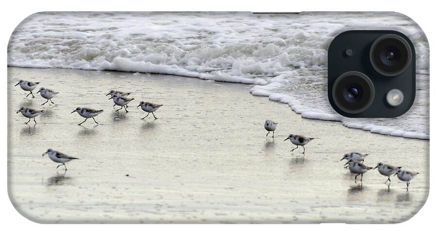 Birds iPhone Case featuring the photograph Piping Plovers at Water's Edge by Maureen E Ritter