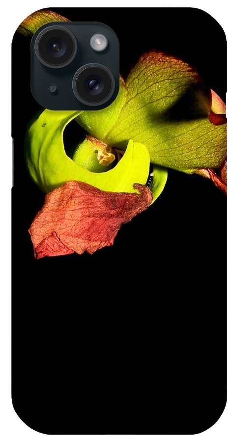 Carnivorous Plants iPhone Case featuring the photograph Pitcher Me Perfect.... by Tammy Schneider