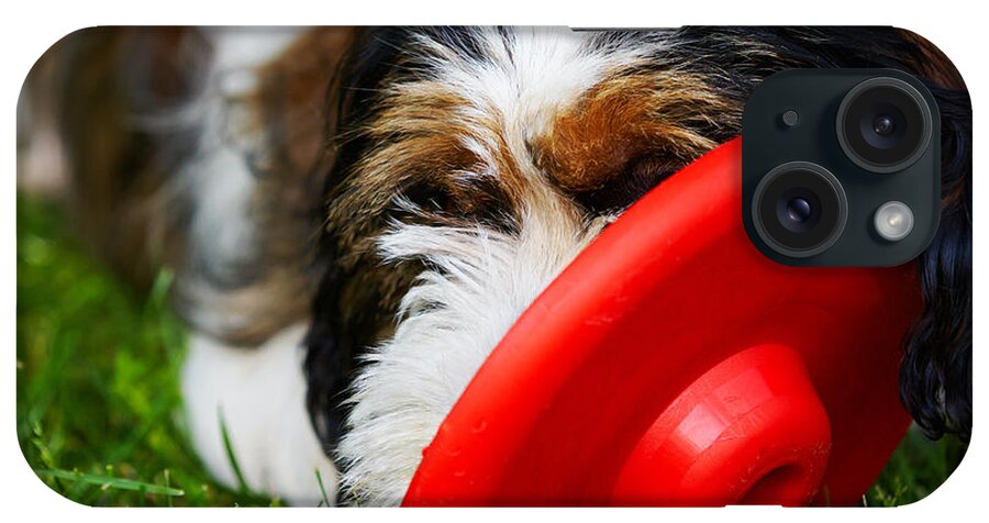 Playful iPhone Case featuring the photograph Playing dog by Nick Biemans
