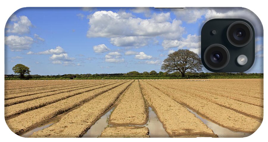 Ploughed Field Uk English British Landscape Countryside Furrow Tracks Converging Lines Earth Agriculture Farming Farmland Fertile Oak Fluffy Clouds Blue Sky Summer iPhone Case featuring the photograph Ploughed Field by Julia Gavin