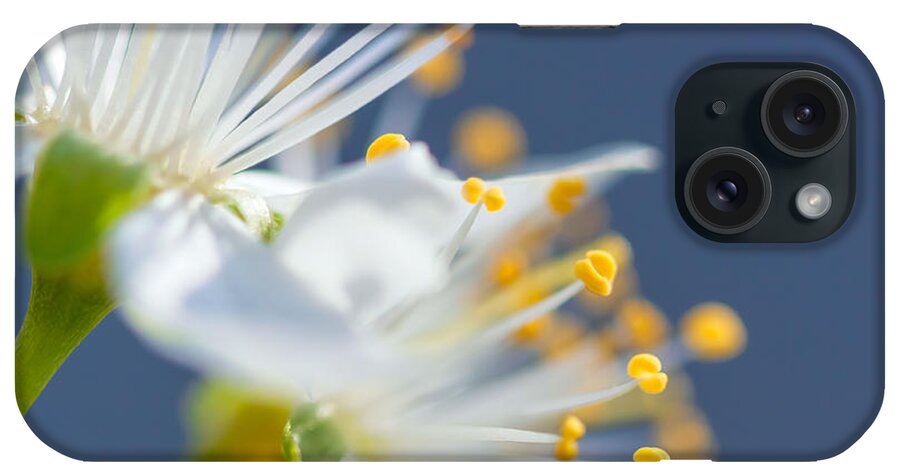 Nature iPhone Case featuring the photograph Plum Blossoms by Jonathan Nguyen
