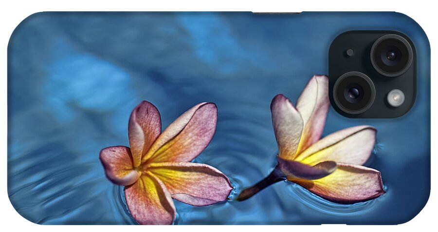 Hawaii iPhone Case featuring the photograph Plumeria Adrift by Dan McManus