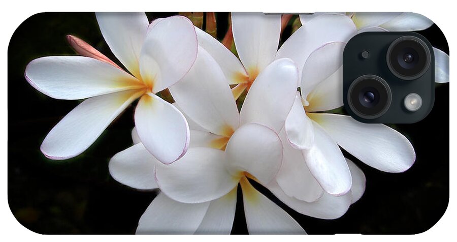 Penny Lisowski iPhone Case featuring the photograph Plumeria by Penny Lisowski