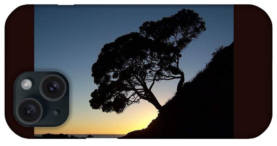 New Zealand iPhone Case featuring the photograph Pohutukawa Trees at Sunrise by Peter Mooyman