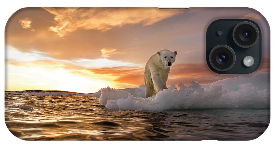 Orange Color iPhone Case featuring the photograph Polar Bear, Repulse Bay, Nunavut, Canada by Paul Souders