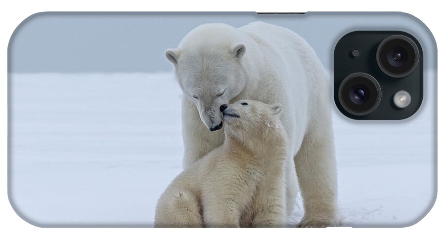 Bear Cub iPhone Case featuring the photograph Polar Bear by Sylvain Cordier