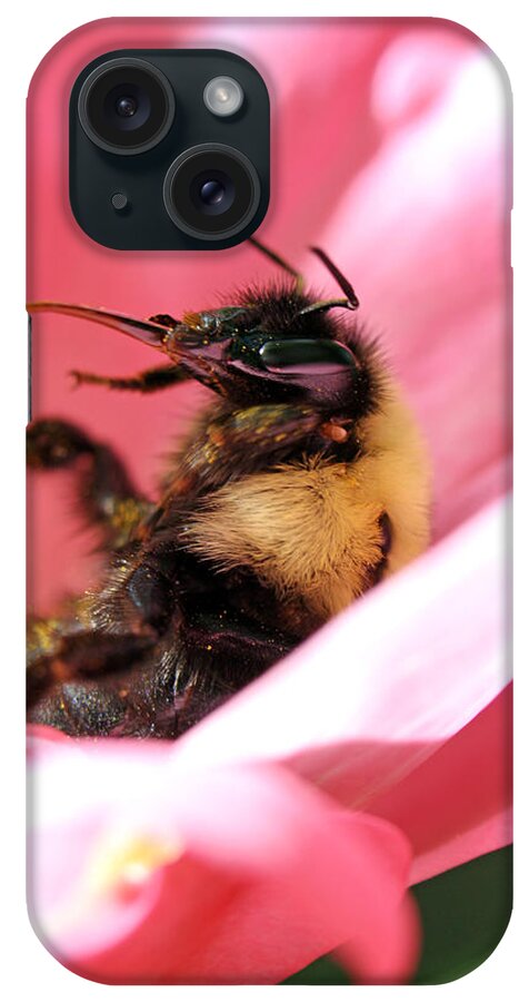 Insects iPhone Case featuring the photograph 'Pollen High' by Jennifer Robin