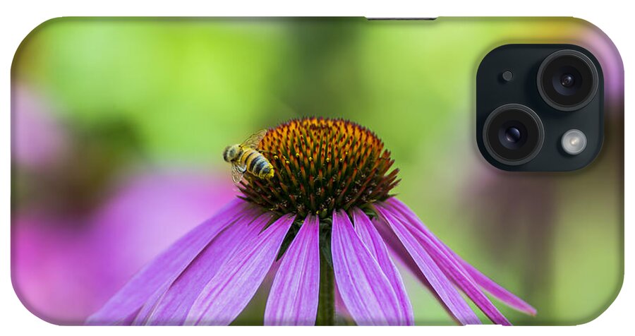 Flickr Explore iPhone Case featuring the photograph Pollen Tracks... by Dan Hefle
