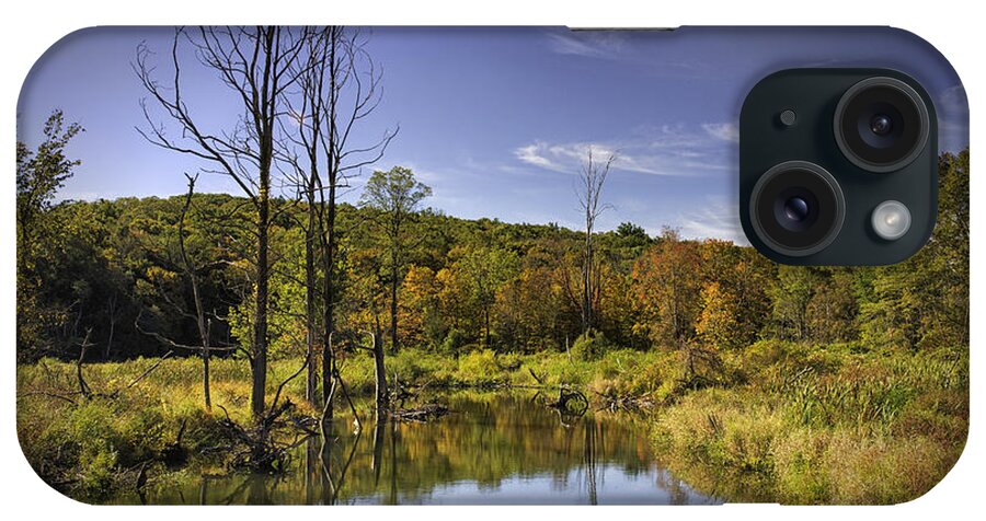 Pond iPhone Case featuring the photograph Pond in Autumn by Fran Gallogly