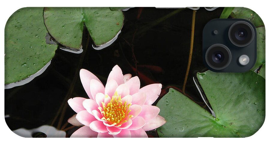 Lily iPhone Case featuring the photograph Pond Lily by Dean Ginther
