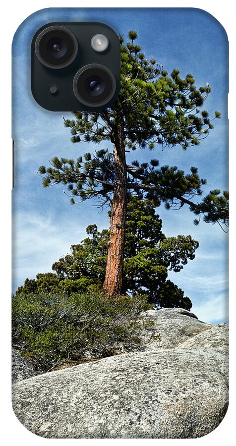 Beauty In Nature iPhone Case featuring the photograph Ponderosa Pine and Granite Boulders by Jeff Goulden