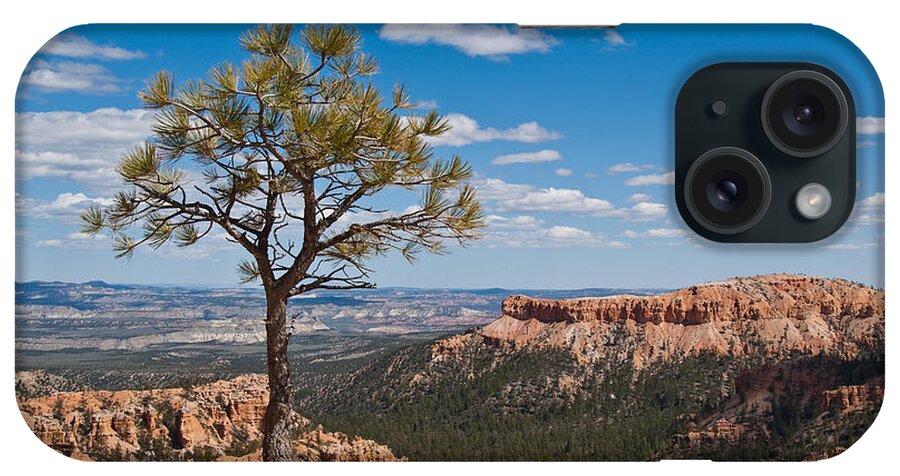 Beauty In Nature iPhone Case featuring the photograph Ponderosa Pine Tree Clinging to Life on Canyon Rim by Jeff Goulden