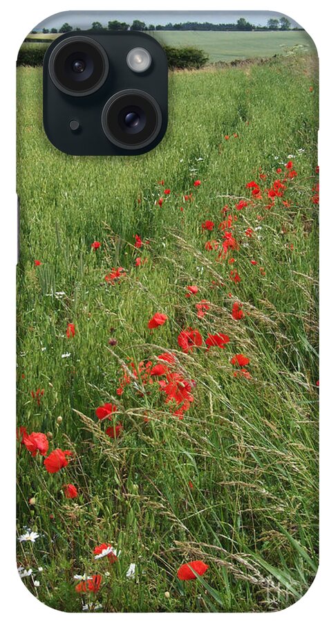 Cornfield iPhone Case featuring the photograph Red Poppies and Cornfield by Phil Banks