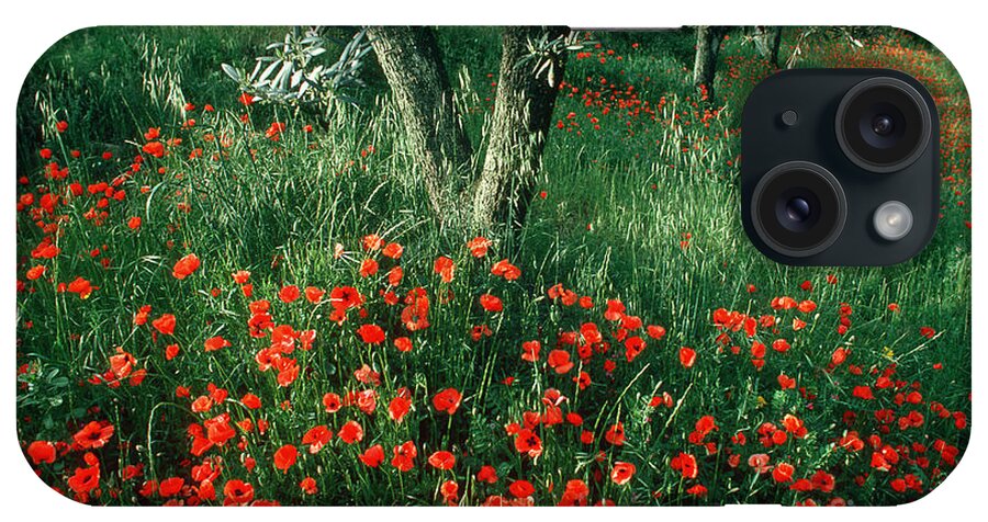 Alternative Medicine iPhone Case featuring the photograph Poppies by James L. Amos