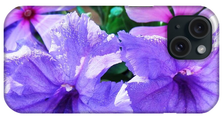 Purple iPhone Case featuring the photograph Popping Purple Petals Beauty by Belinda Lee