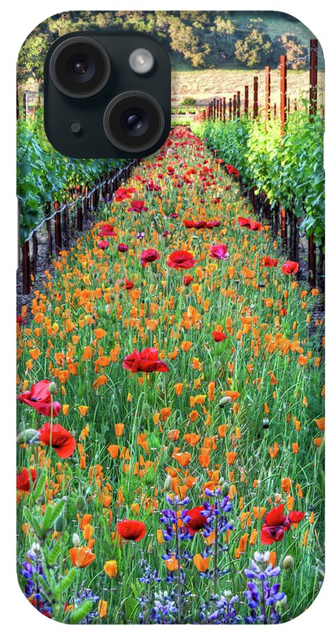 #faatoppicks iPhone Case featuring the photograph Poppy Lined Vineyard by Rmb Images / Photography By Robert Bowman