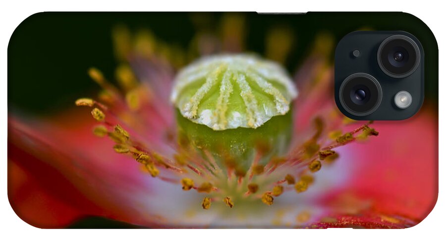 Backyard iPhone Case featuring the photograph Poppy by PatriZio M Busnel